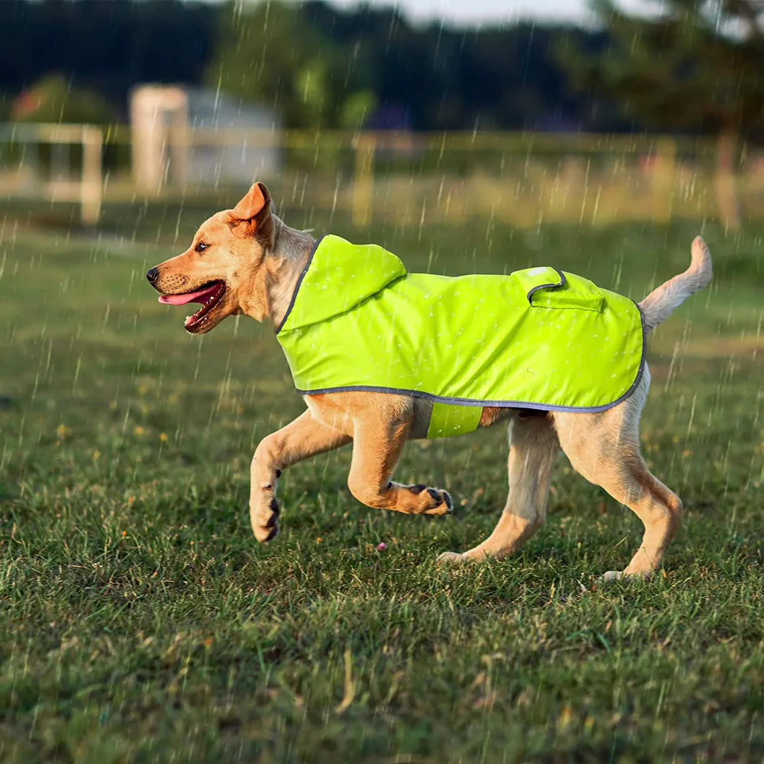 BSEEN Reversible Dog Raincoat, Adjustable Reflective Stripe Hooded, Waterproof Dog Rain Jacket for Large Dogs