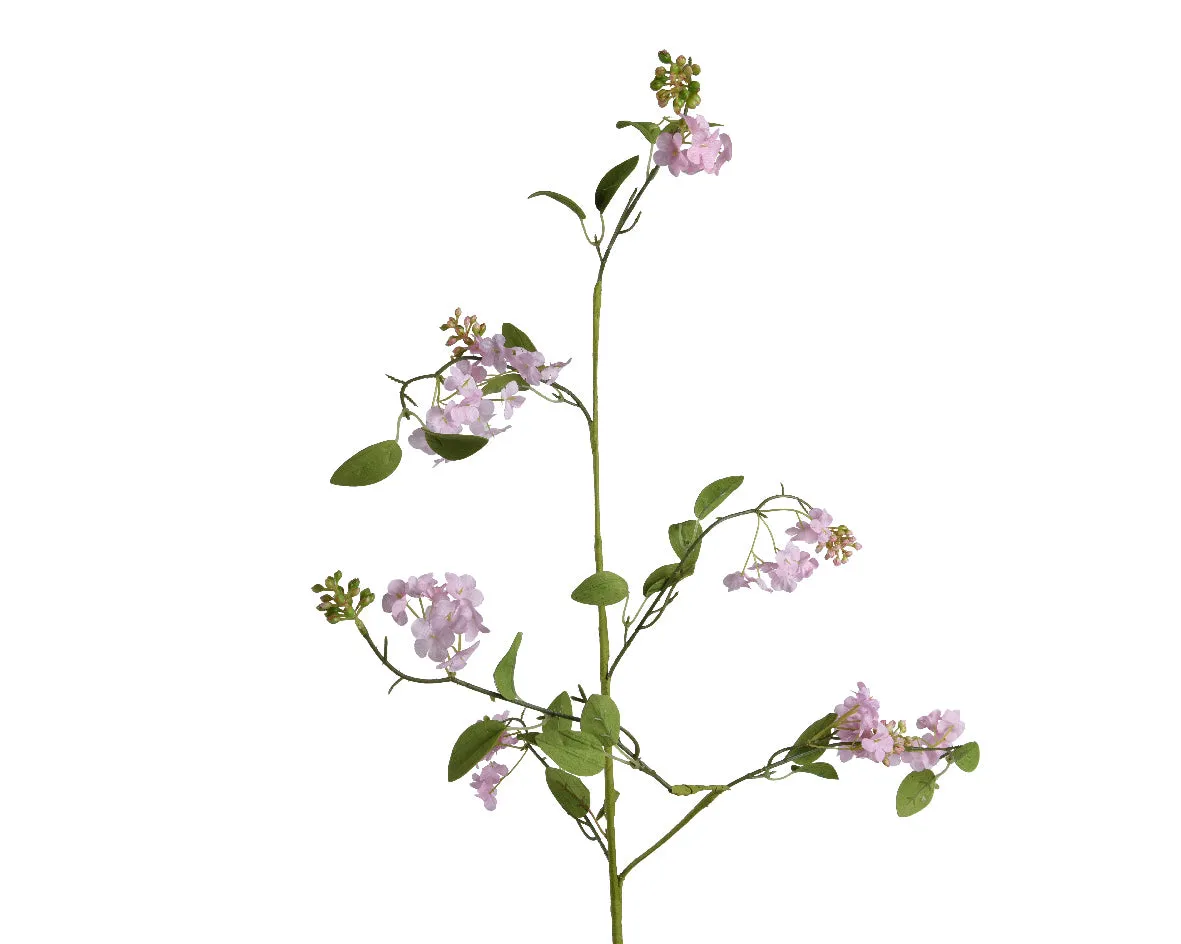 Flower pear blossom soft pink stem