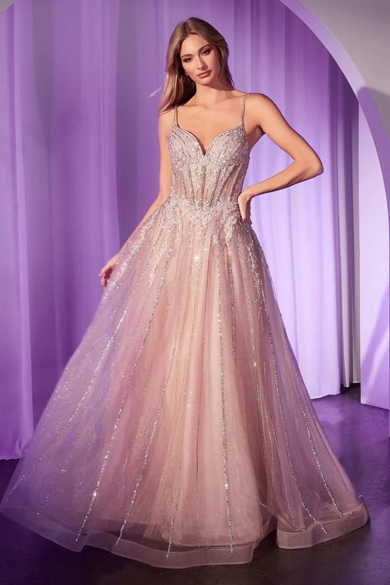 JAŠA Embellished Crystal Tulle A Line Prom & Formal Dress