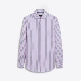 JAMES Pin Stripe OoohCotton Twill Shirt