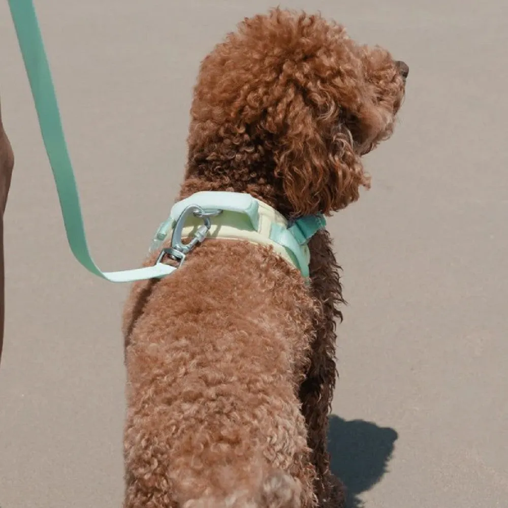 Jelly Harness