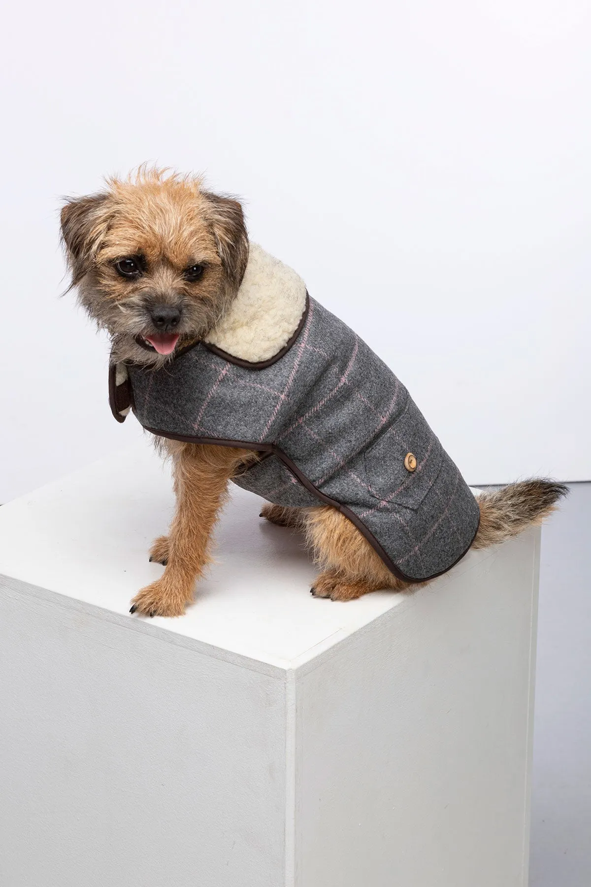 Tweed Dog Coat