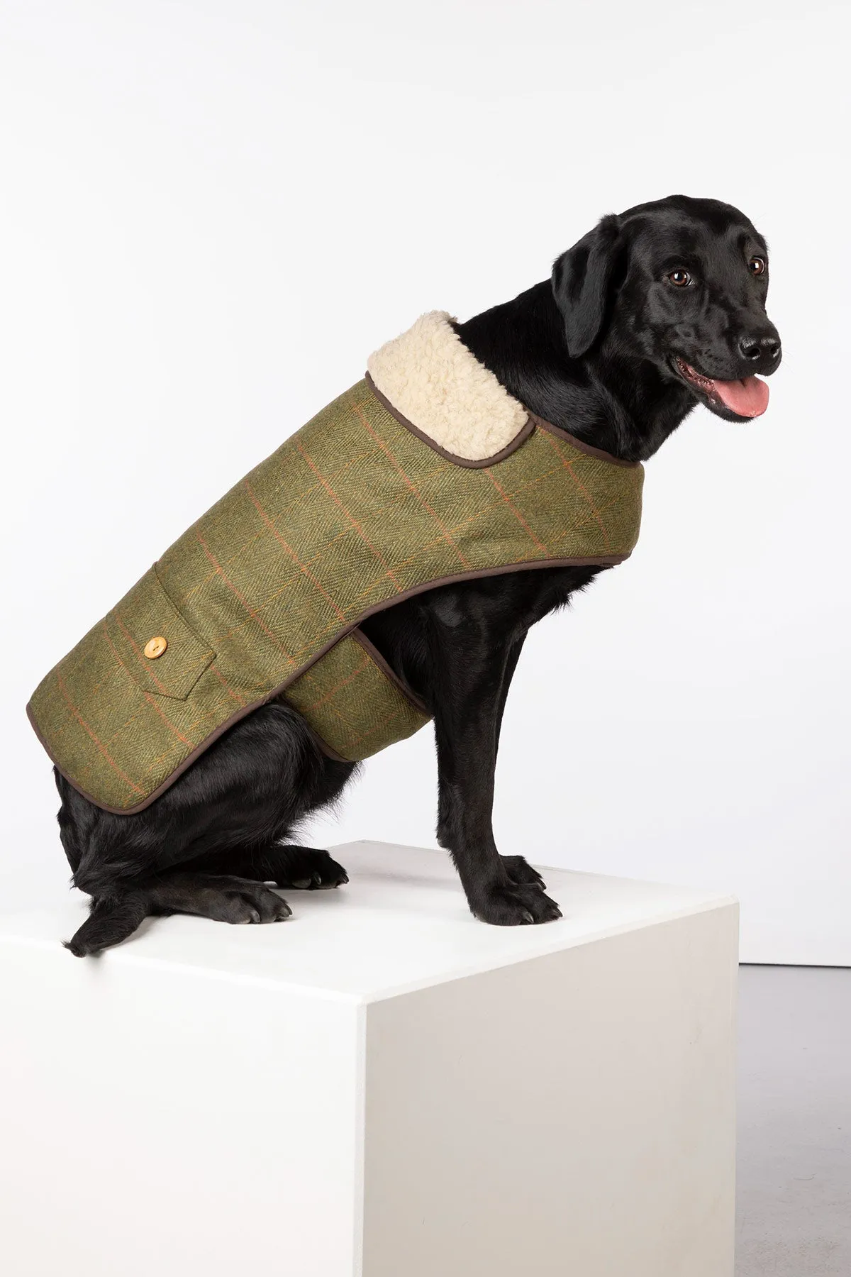 Tweed Dog Coat