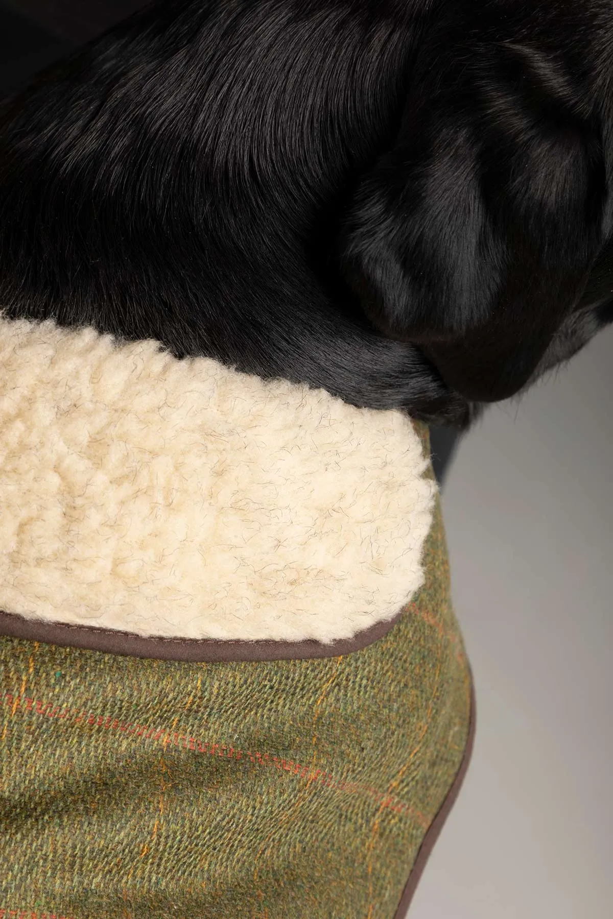 Tweed Dog Coat