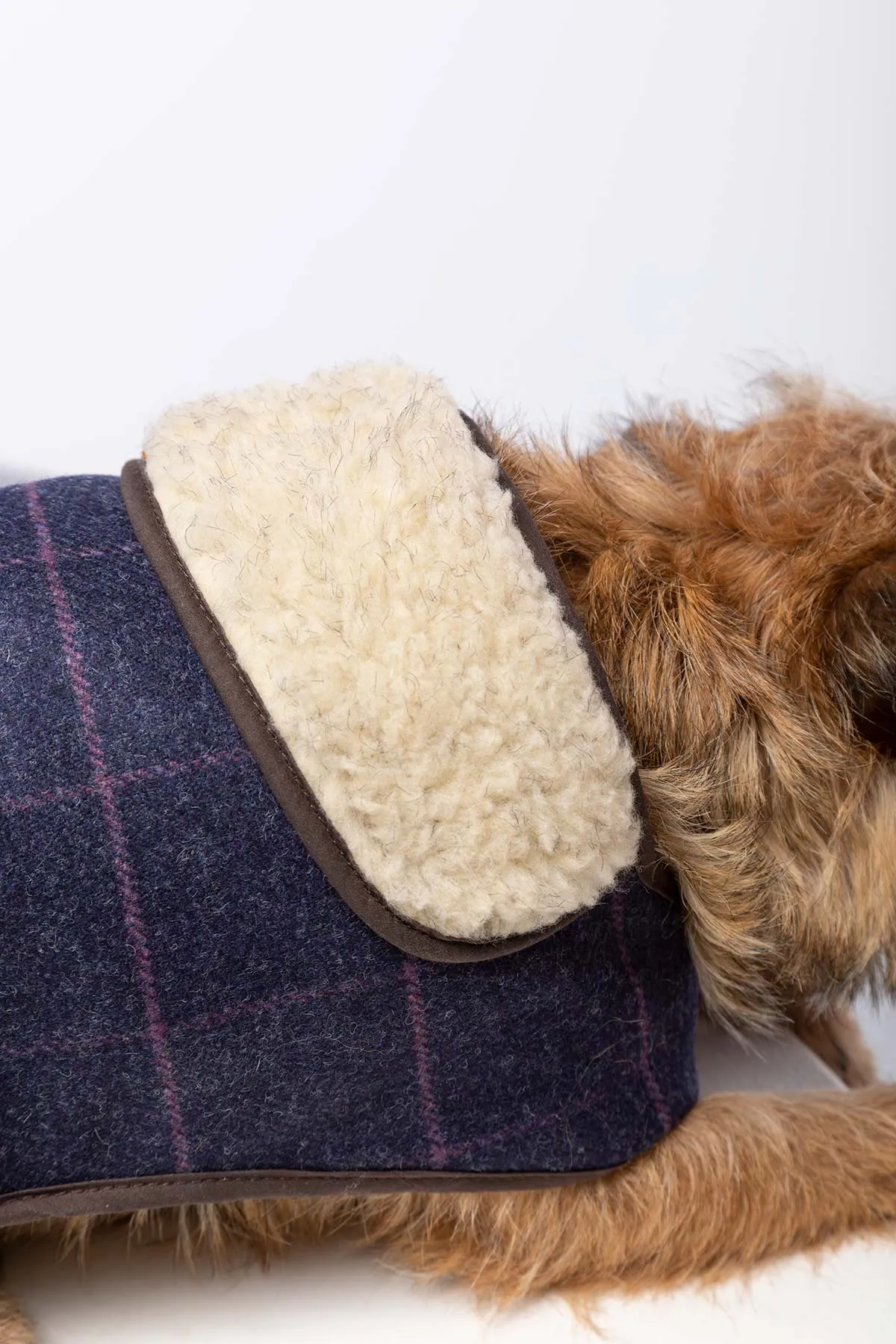 Tweed Dog Coat