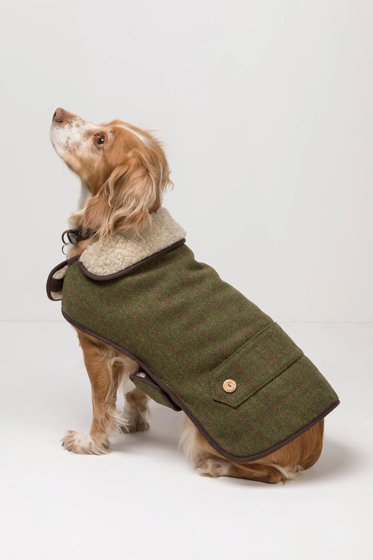 Tweed Dog Coat