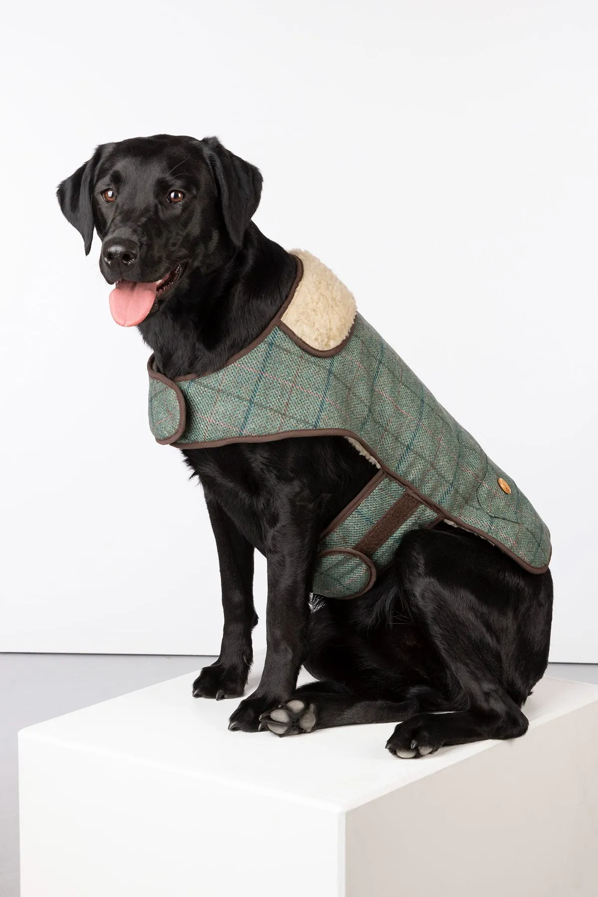 Tweed Dog Coat